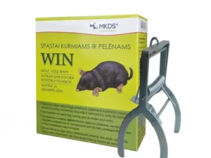 Kurmislāpsti, 14×11 cm