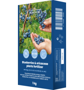 MĒSLI MELLENĒM UN HEIDES AUGIEM, 1 KG
