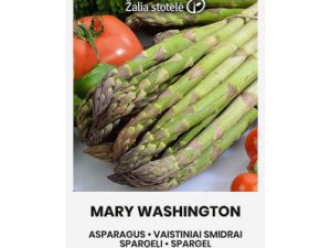 SPARĢEĻU SĒKLAS, ĀRSTNIECISKIE SPARĢEĻI MARY WASHINGTON