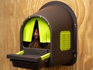 Plastmasas automātiskā dējligzda vistām „Manamājīgāligzda+”