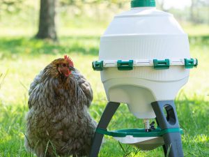 Putnu dzirdne OPTIMUS, 25 L