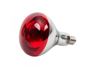 Infrasarkano staru sildlampa putniem un rāpuļiem 150W / 230V