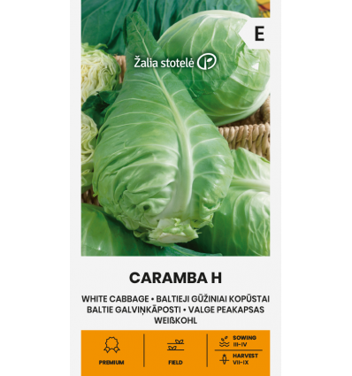 Balto galviņkāpostu sēklas CARAMBA H