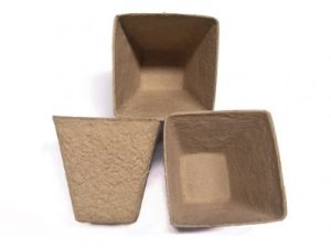 Kvadrātveida podiņi dēstu audzēšanai, 8 cm, 10 gab