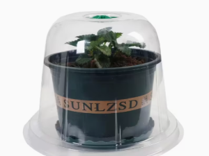 Augu aizsargkupols – diedzēšanas pārsegs (mini siltumnīca) ar ventilāciju, 5 gab
