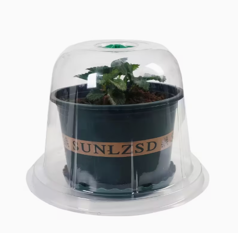 Augu aizsargkupols – diedzēšanas pārsegs (mini siltumnīca) ar ventilāciju