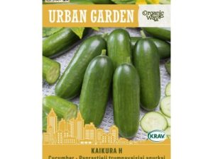 PARASTIE ĪSĀ AUGĻA GURĶI KAIKURA H