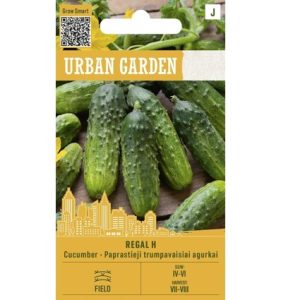 PARASTIE ĪSĀ AUGĻA GURĶI REGAL H