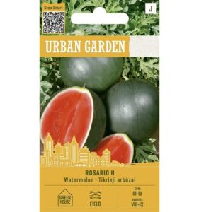 ĪSTAIS ARBŪZS ROSARIO H