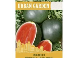 ĪSTAIS ARBŪZS ROSARIO H