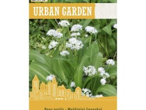 LĀČU ĶIPLOKI (BEAR GARLIC)