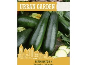 CUKINI TERMINATOR H