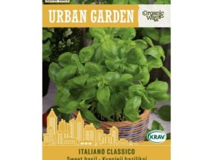 SMARŽĪGAIS BAZILIKS ITALIANO CLASSICO