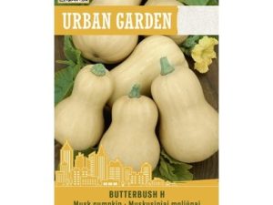 ĶIRBJI BUTTERBUSH H