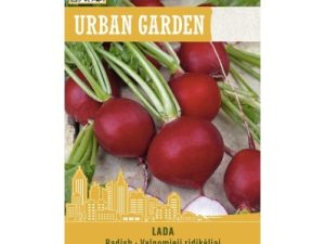 ĒDAMIE REDĪSI LADA