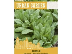 DĀRZA SPINĀTI SAMOS H