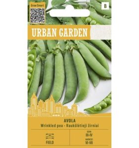 GRUMBUOTIE ZIRŅI AVOLA