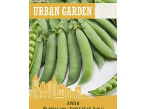 GRUMBUOTIE ZIRŅI AVOLA