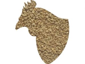 Pilnvērtīga barība broileriem KOMBI no 1 līdz 10 dienām ar fitobiotikām, 10 kg