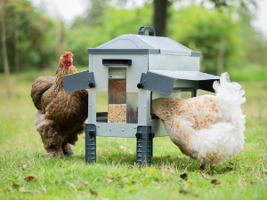 ROBUST atvērta, metāla, divpusēja barotava – paredzēta pīlēm, zosīm un vistām, 18 kg