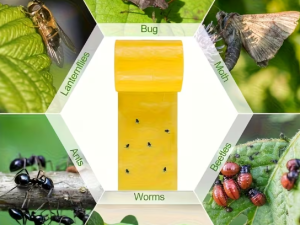 Kukaiņu lamata – abpusēja lipīga lente kukaiņu, laputu un citu kaitēkļu pievilināšanai, 2,2 m