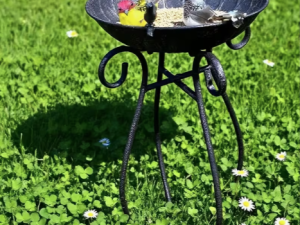 Metāla putnu barotava – baseins ar kājām