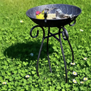 Metāla putnu barotava – baseins ar kājām.