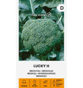 BROKOĻI LUCKY H