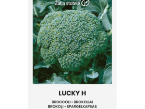 BROKOĻI LUCKY H