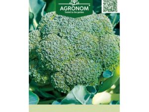 BROKOĻI RAMOSO CALABRESE