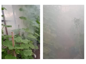 SMOG Garlic dūmu svece siltumnīcām, 30 g