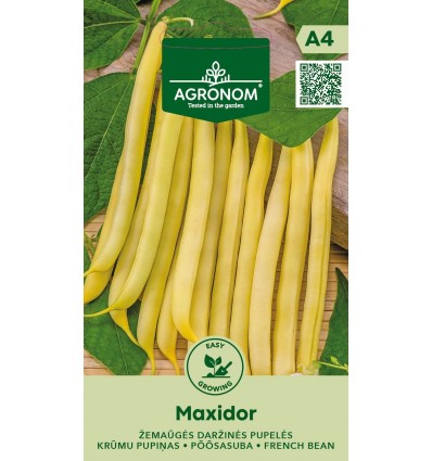 DĀRZA SPARĢEĻPUPIŅAS MAXIDOR