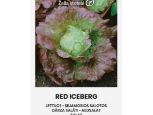 Sējamie salāti RED ICEBERG