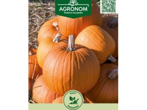 ĶIRBJI CONNECTICUT FIELD