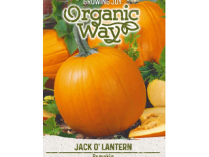 ĶIRBJI JACK O LANTERN