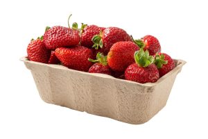 Ogu trauciņš 500 g, 10 gab