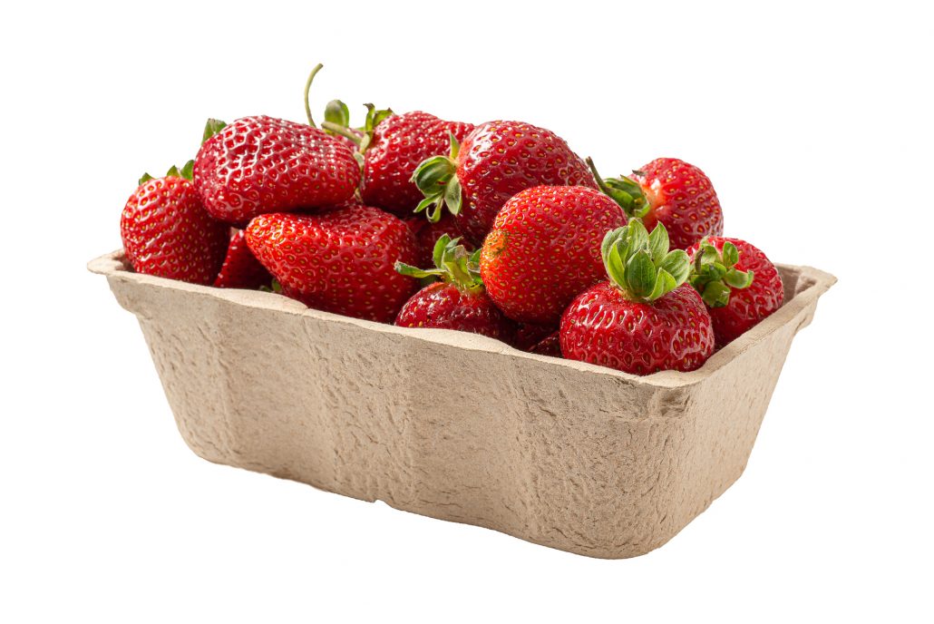 Ogu trauciņš 500 g, 10 gab
