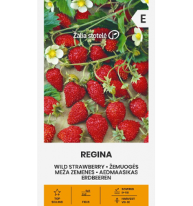 MEŽZEMENE REGINA
