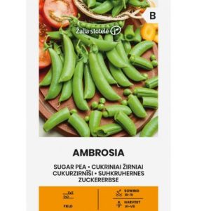 ZIRŅI CUKURA AMBROSIA