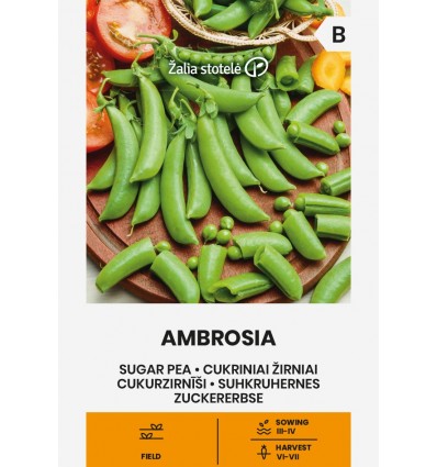 ZIRŅI CUKURA AMBROSIA
