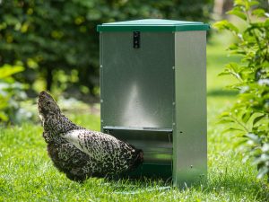 Automātiskā barotava mājputniem “Feedomatic”, 20kg